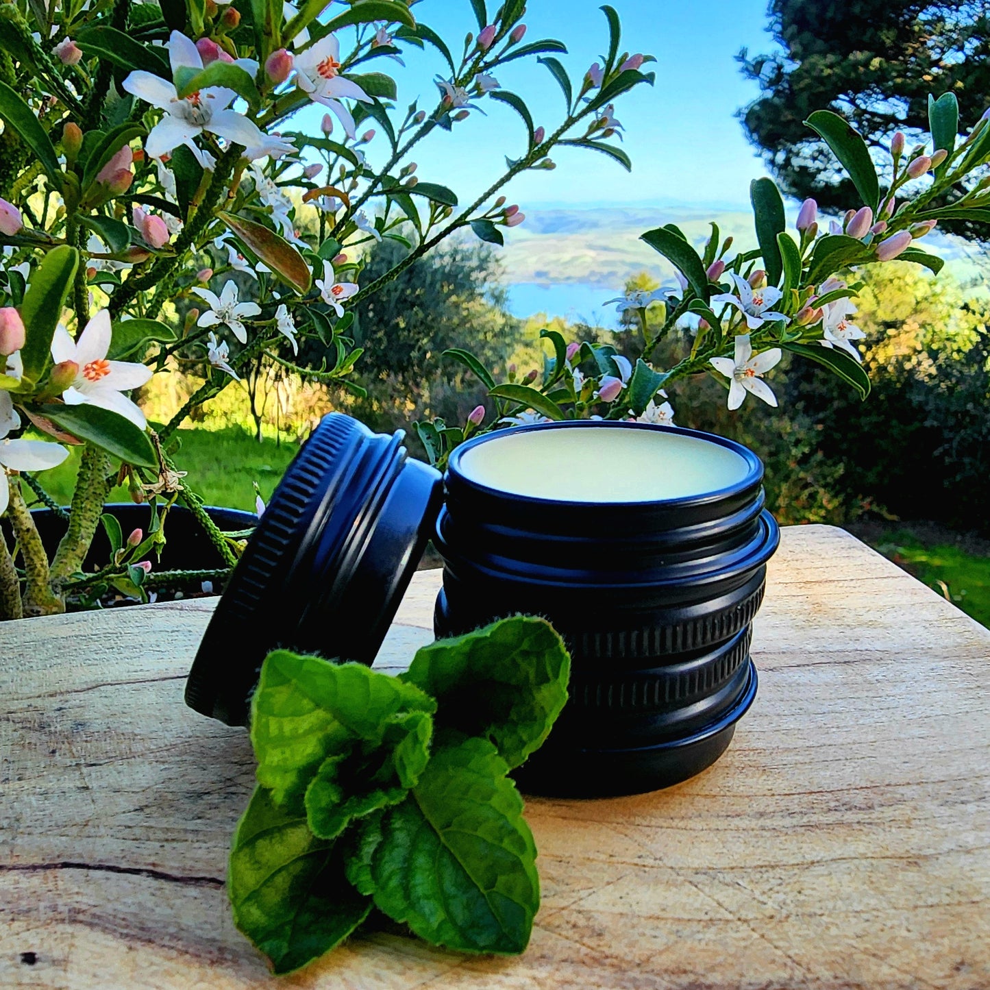 Peppermint Eucalyptus Lip Balm